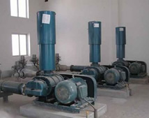 羅茨鼓風(fēng)機_滄州電廠項目案例
